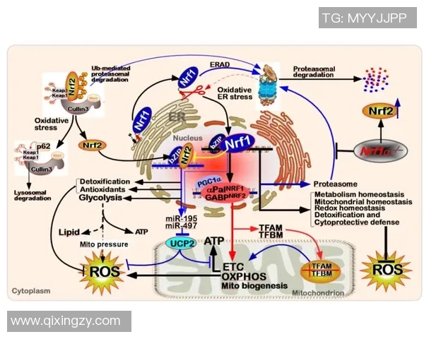 数据分析揭示WE团队协作表现的优势与改进空间