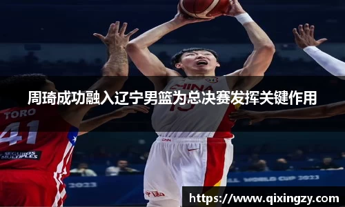 VSport官网入口vsport体育在线官网