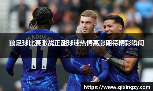 狼足球比赛激战正酣球迷热情高涨期待精彩瞬间