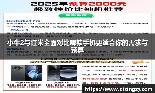 VSport官网入口vsport体育在线官网