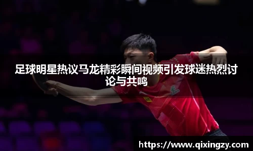 VSport官网入口vsport体育在线官网